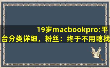 19岁macbookpro:平台分类详细，粉丝：终于不用瞎找了！