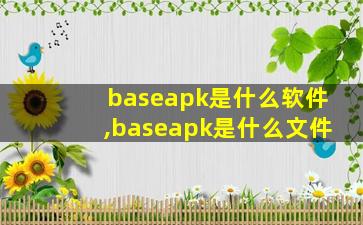 baseapk是什么软件,baseapk是什么文件