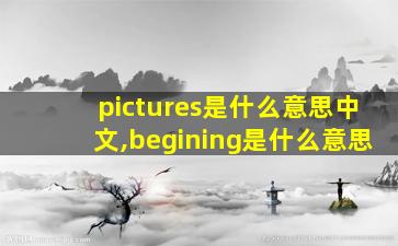 pictures是什么意思中文,begining是什么意思
