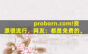 proborn.com!资源很流行，网友：都是免费的。
