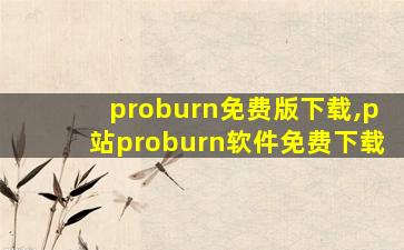 proburn免费版下载,p站proburn软件免费下载