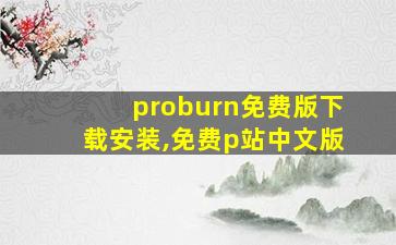 proburn免费版下载安装,免费p站中文版