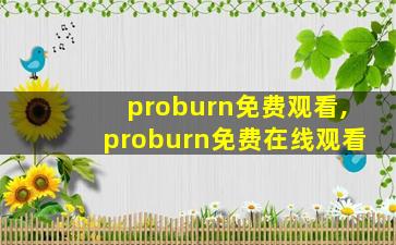 proburn免费观看,proburn免费在线观看