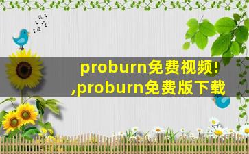 proburn免费视频!,proburn免费版下载