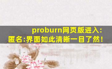 proburn网页版进入:匿名:界面如此清晰一目了然！