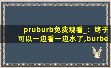 pruburb免费观看_：终于可以一边看一边水了,burberry官网sale时间
