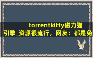 torrentkitty磁力猫引擎_资源很流行，网友：都是免费的。