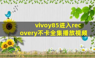 vivoy85进入recovery不卡全集播放视频