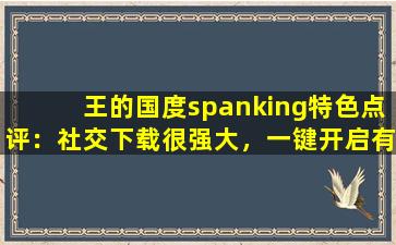 王的国度spanking特色点评：社交下载很强大，一键开启有趣互动！