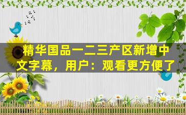 精华国品一二三产区新增中文字幕，用户：观看更方便了