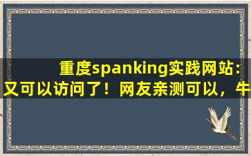 重度spanking实践网站:又可以访问了！网友亲测可以，牛！